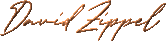 David Joel Zippel