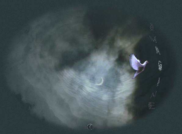 © 1999 photo by Carmen Ezgeta © 1999 photo by Carmen Ezgeta