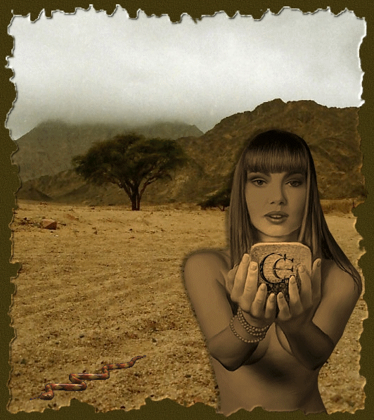  2005 photo by Carmen Ezgeta: Pustinja Sinai; Egipat; studeni 2005.; The Sinai Desert; Egypt; November 2005