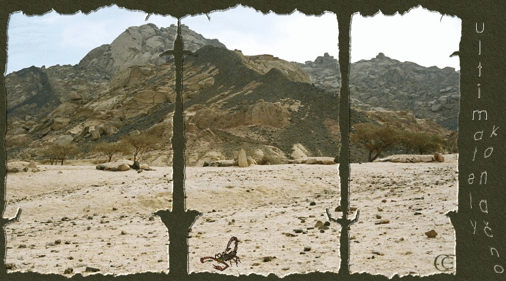 © 2005 photo by Carmen Ezgeta:    Pustinja Sinai - The Sinai Desert