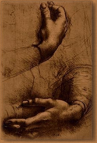 art:  Leonardo da Vinci : Study of Hands