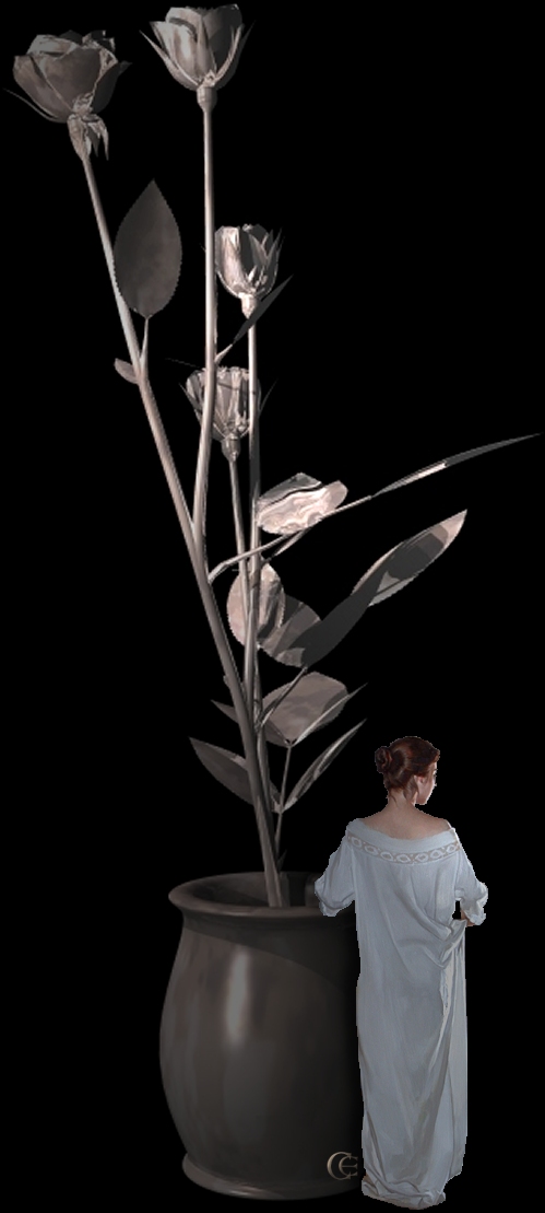 © Carmen Ezgeta © Carmen Ezgeta